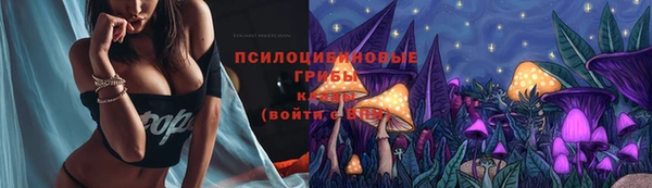 мдпв Нея