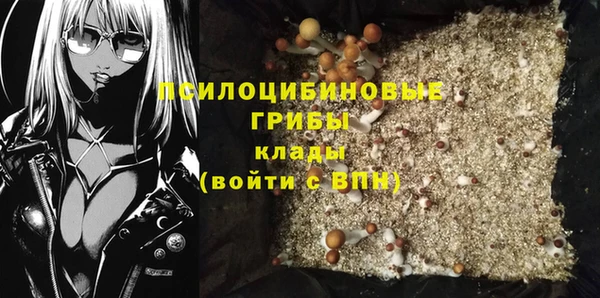 мдпв Нея