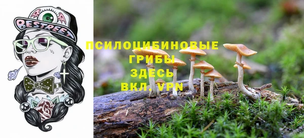 мдпв Нея