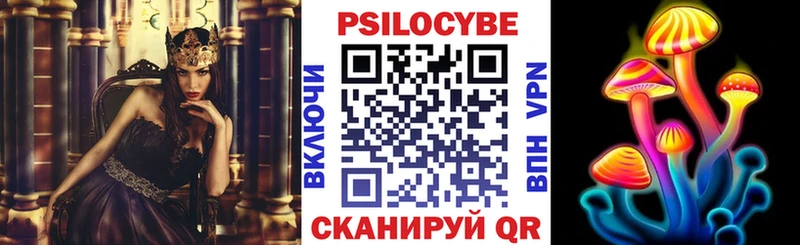 где можно купить   Пушкино  Псилоцибиновые грибы мухоморы 