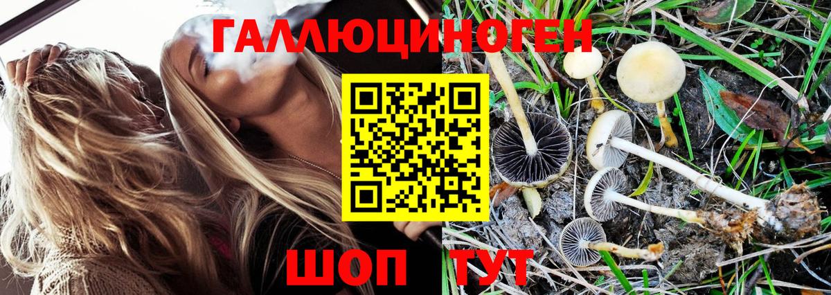 Галлюциногенные грибы Magic Shrooms Пушкино
