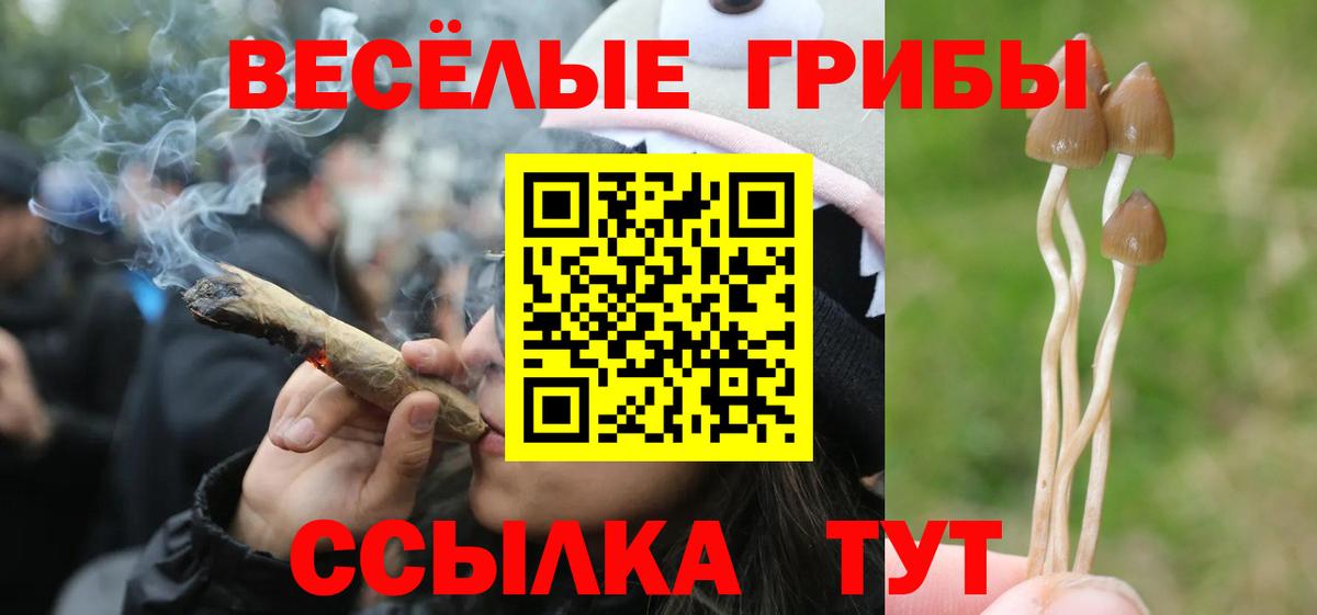 Псилоцибиновые грибы GOLDEN TEACHER  Вход с VPN  Пушкино 